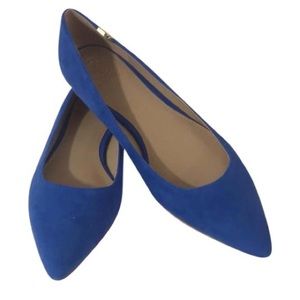 NWOB Tory Burch Blue Flats sz 6M *****SOLD*****